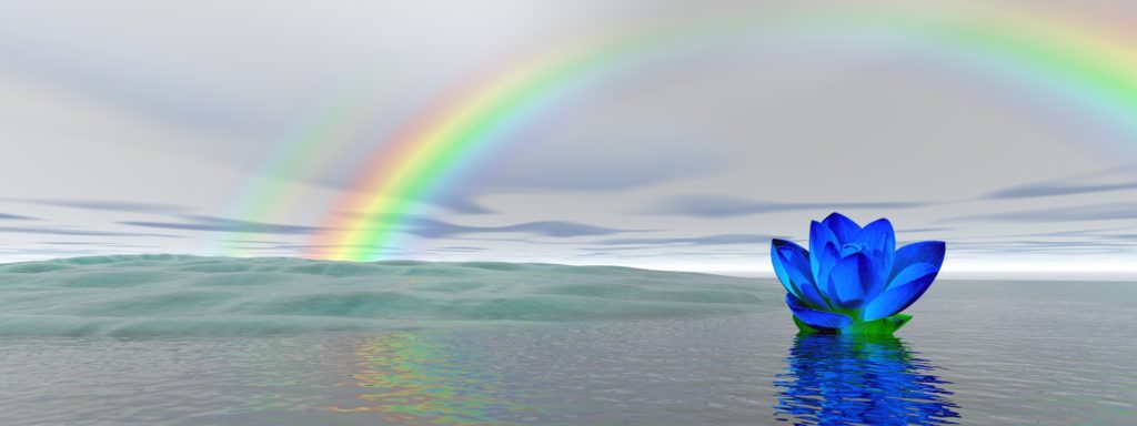 formacion en kinesiologia