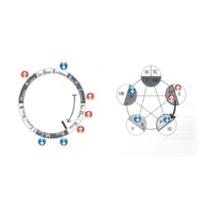 "Toque para la Salud" -Módulo II -