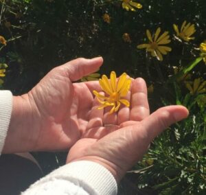 Volver al Amor, curso de kinesiología espiritual, autora @Sylvia.marina, impartido por @Teresa.mestres