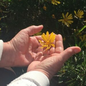 Volver al Amor, curso de kinesiología espiritual, autora @Sylvia.marina, impartido por @Teresa.mestres