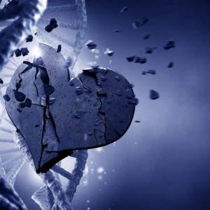 Transformando Memorias del ADN en Theta y Delta