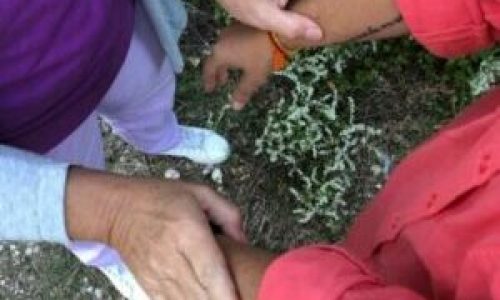 60533cfb-0321-4670-aa95-9b0e284cadbf