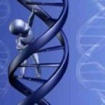 NiñoenADNpequeño26jpg