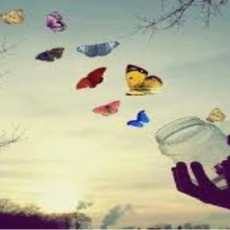 liberacion emocional